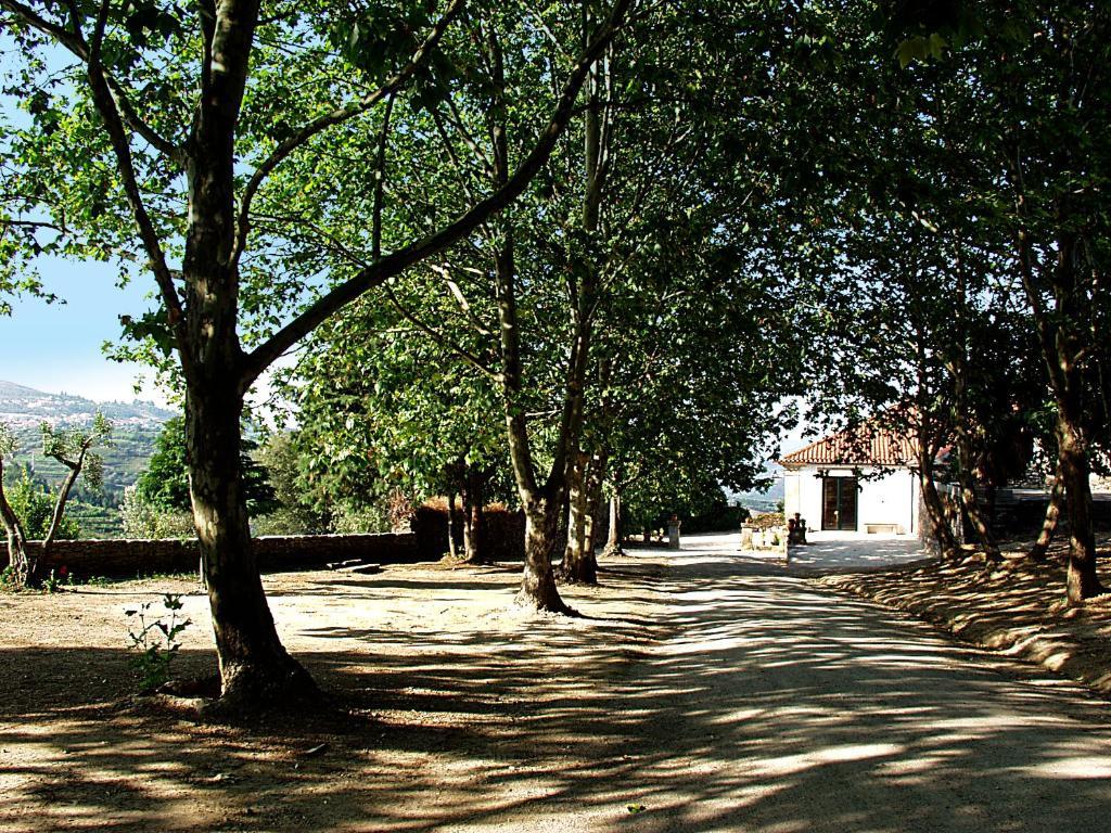 Casa De Vilarinho De S. Romao Sabrosa Exterior photo